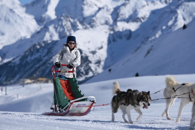 Mushers